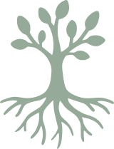wurzelwerk transparent