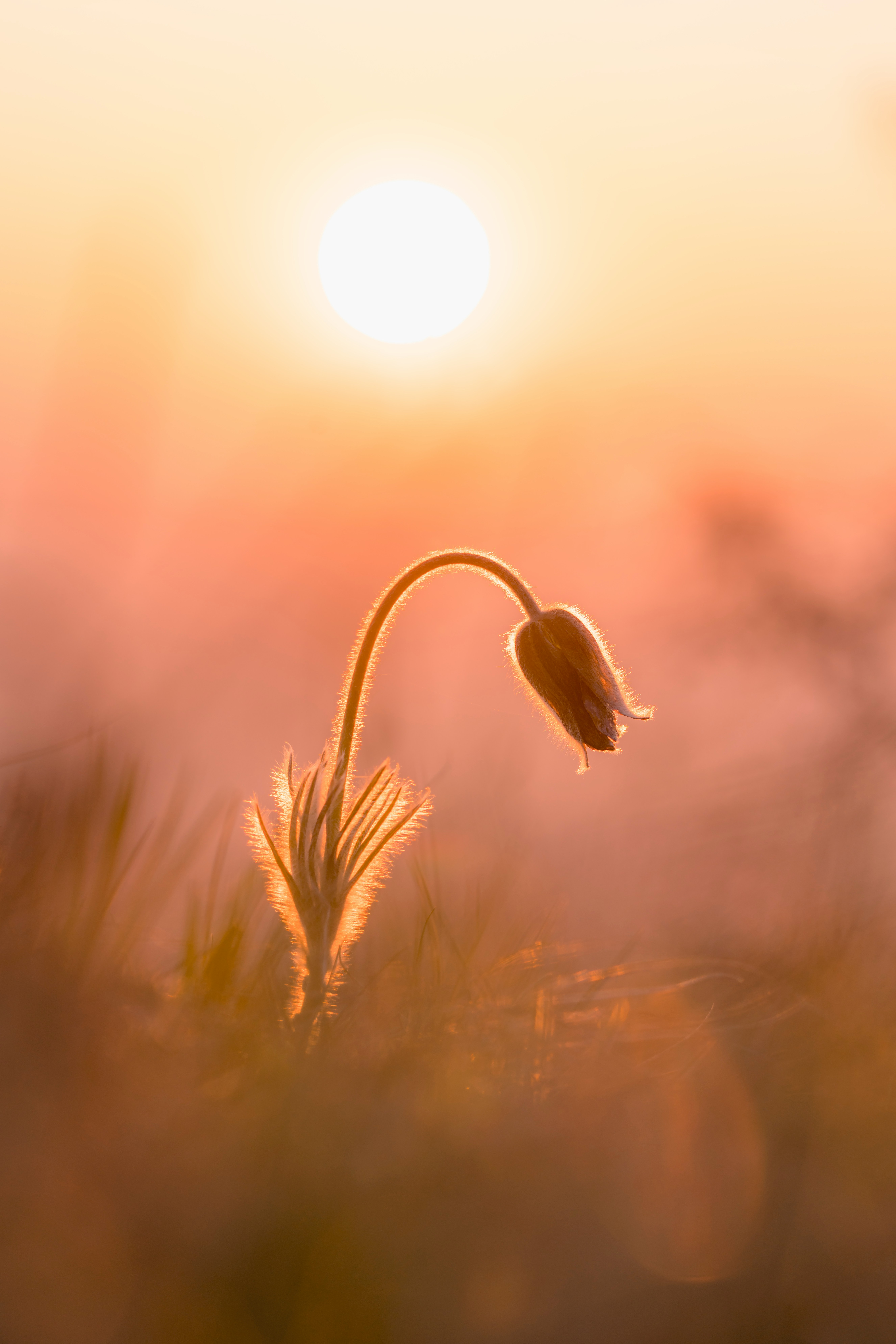 daniel mirlea 4ueqopnarp4 unsplash