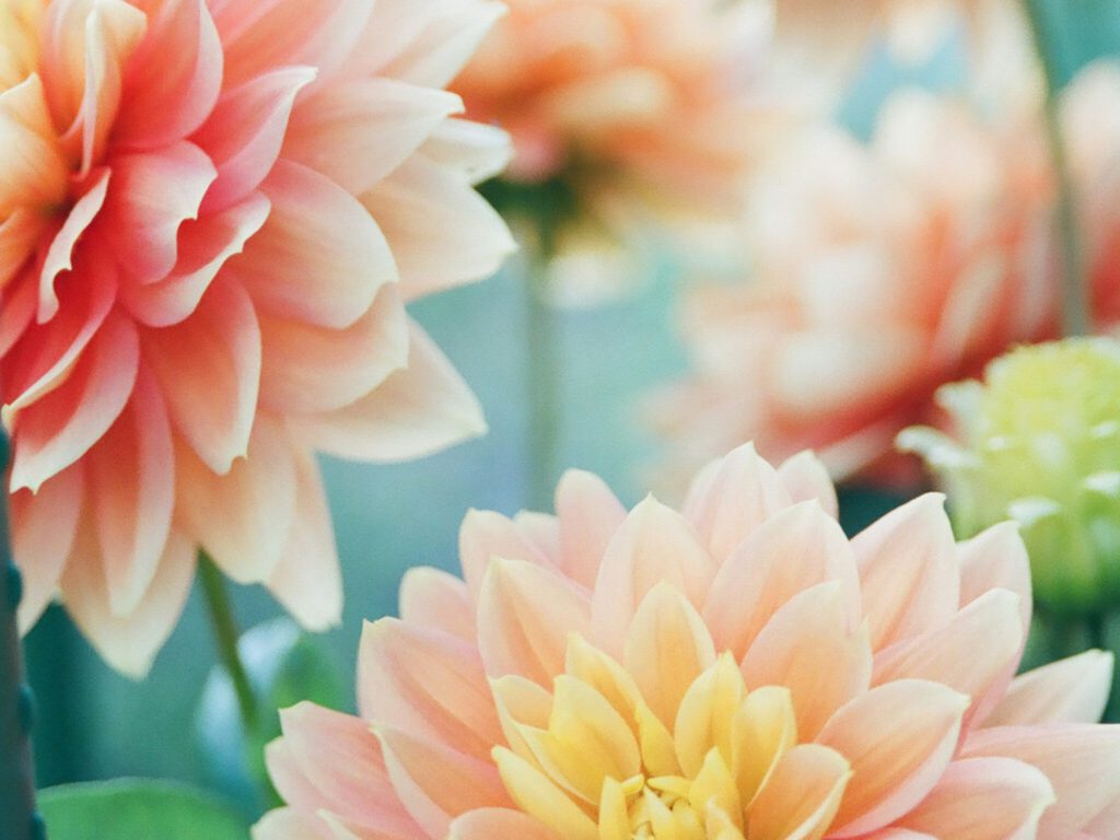 mio ito b sltmxpkna unsplash